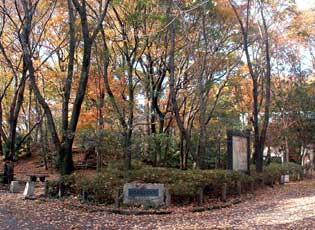 多摩川緑地加美上水公園周辺写真1