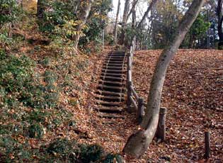 多摩川緑地加美上水公園周辺写真2