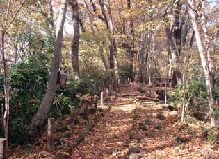 多摩川緑地加美上水公園周辺写真4