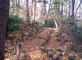 多摩川緑地加美上水公園周辺写真6