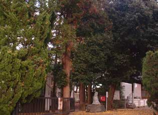 熊川神社周辺写真2