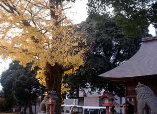 熊川神社周辺写真4