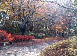 みずくらいど公園・日光橋公園周辺写真1