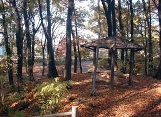 みずくらいど公園・日光橋公園周辺写真3