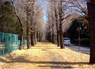 福東公園周辺写真2