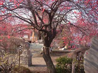 神明社写真3