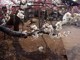 神明社写真7