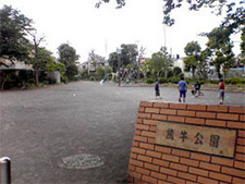 熊牛公園4