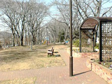 柳山公園4