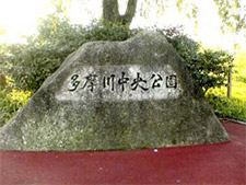 多摩川中央公園4