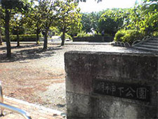 多摩川緑地かに坂公園4