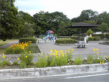 南公園2