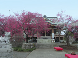 神明社