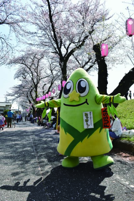 「第４１回　ふっさ桜まつり」の開催について