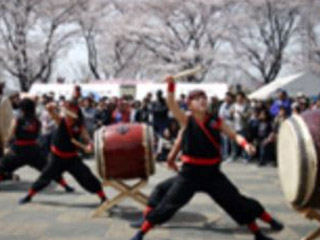 blossom_photo2