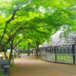 ほたる公園