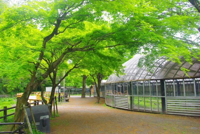 ほたる公園